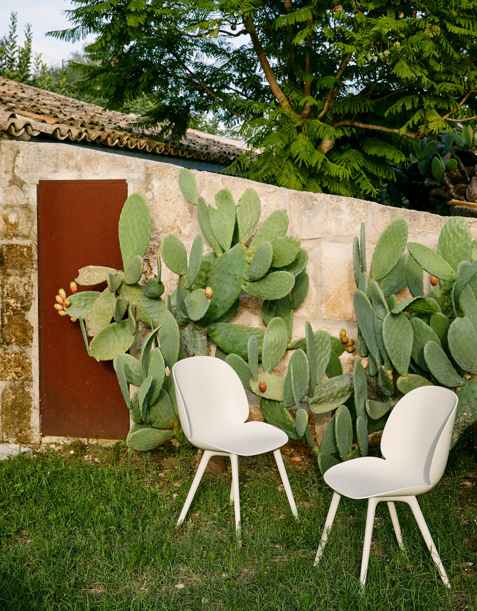 Beetle Chair - outdoor