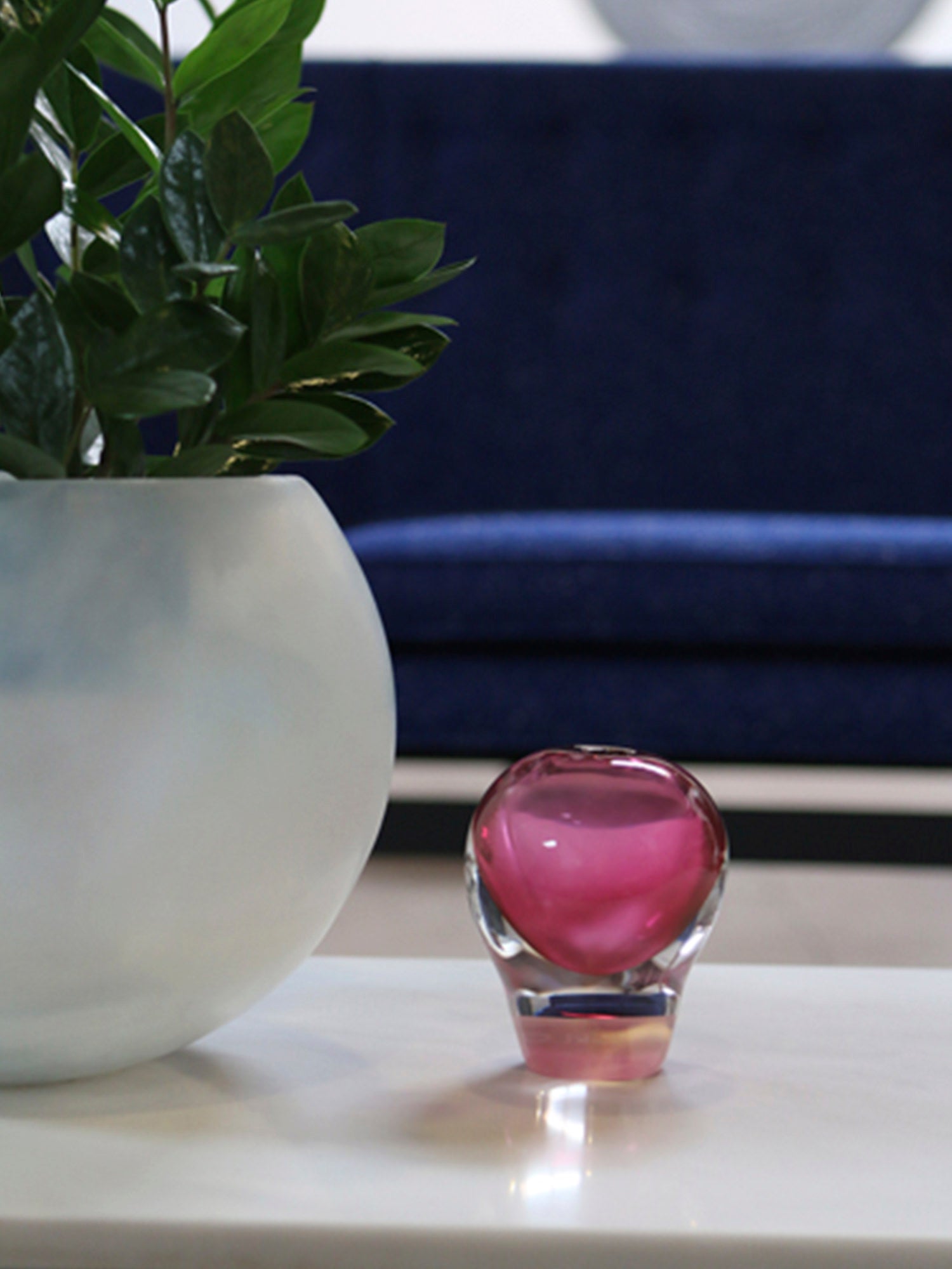 seed vessel